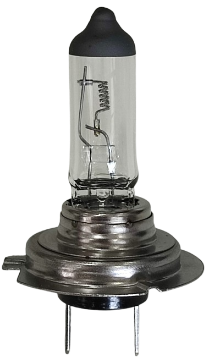 lampada-comum-h7-24v-70w-avulsa-cinoy